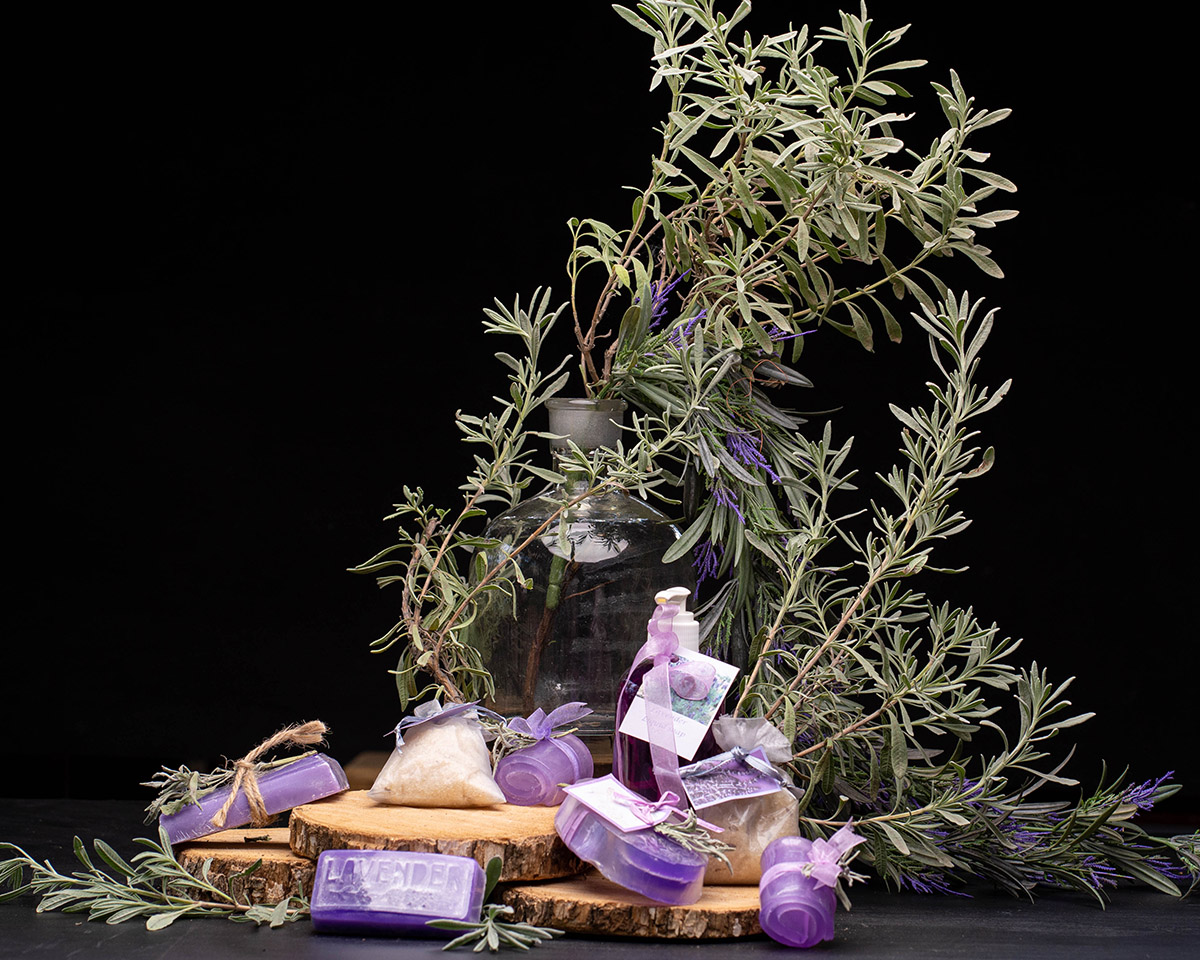 Lavender Provence