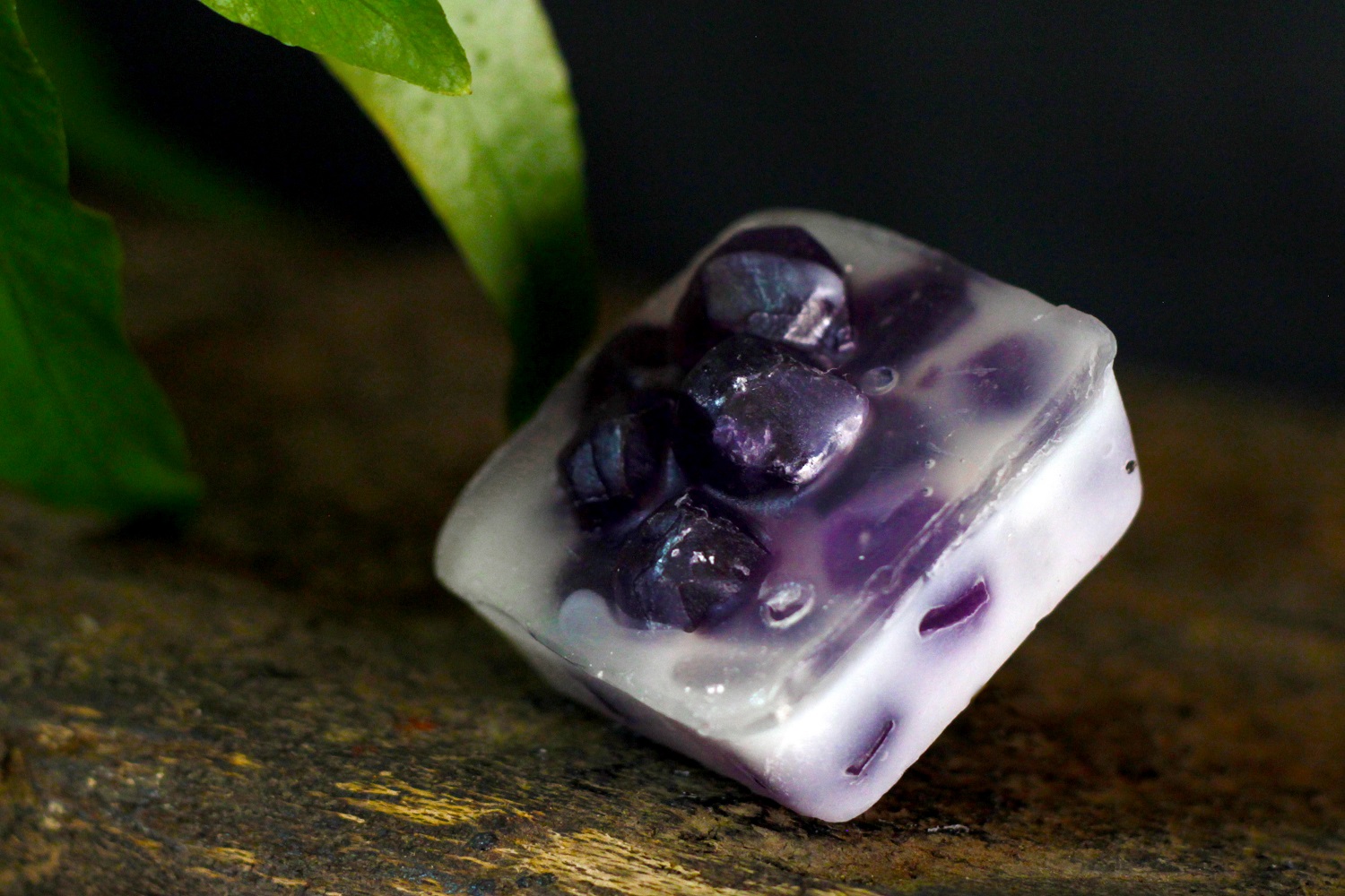 Blueberry