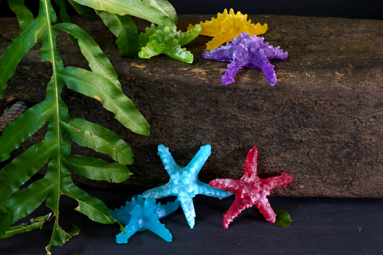 Starfish