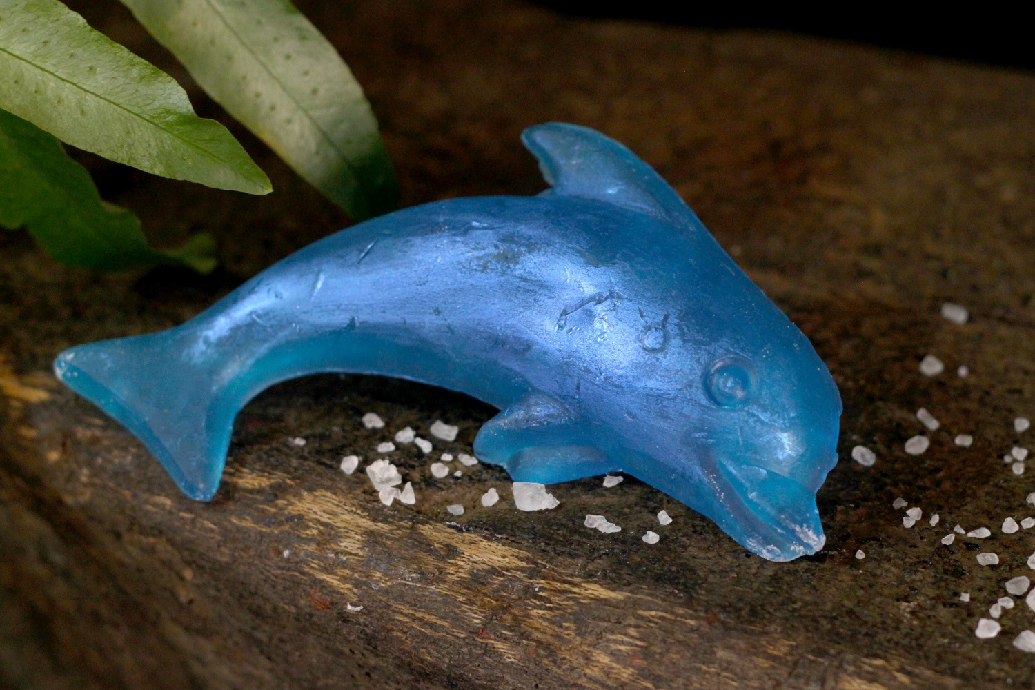 Dolphin
