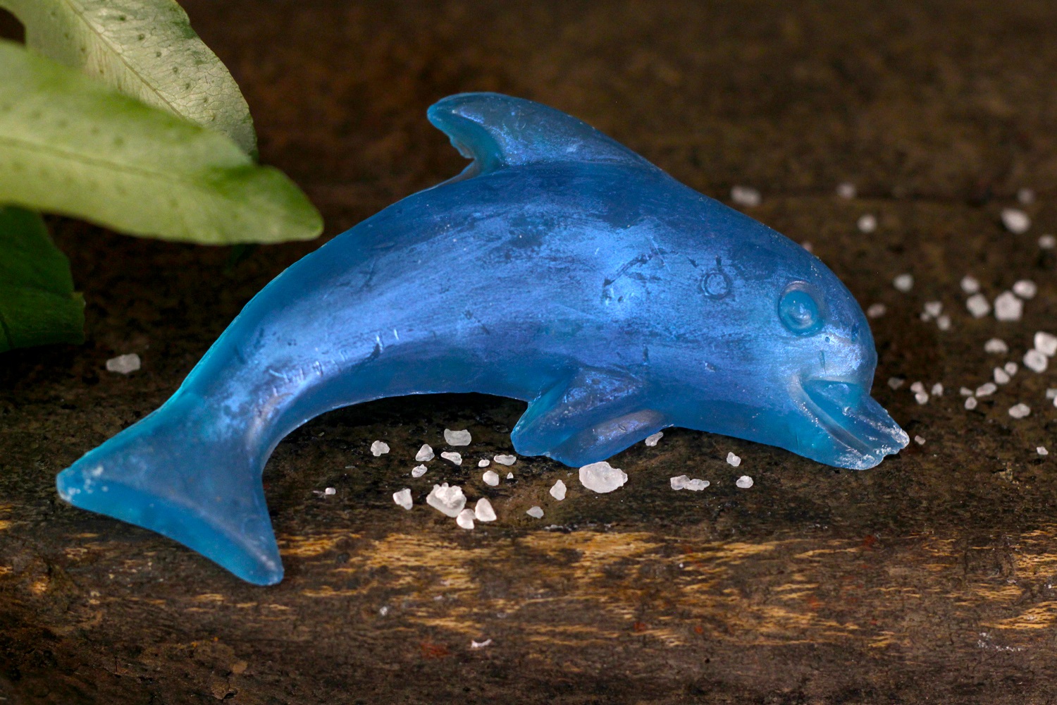 Dolphin