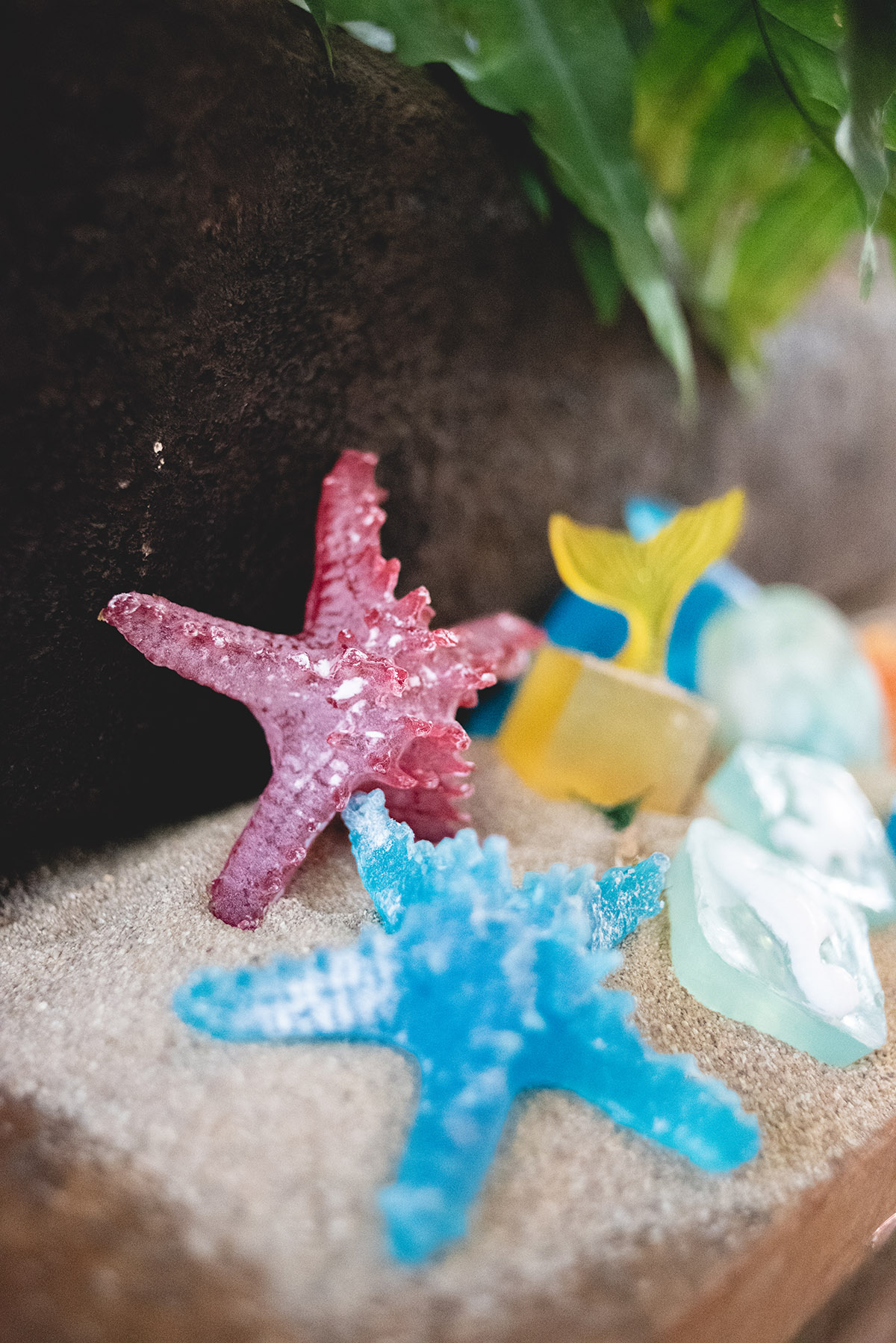 Sea Creature