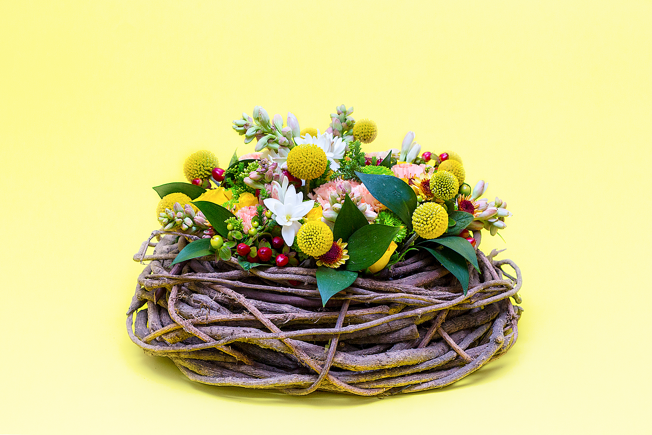 Nest