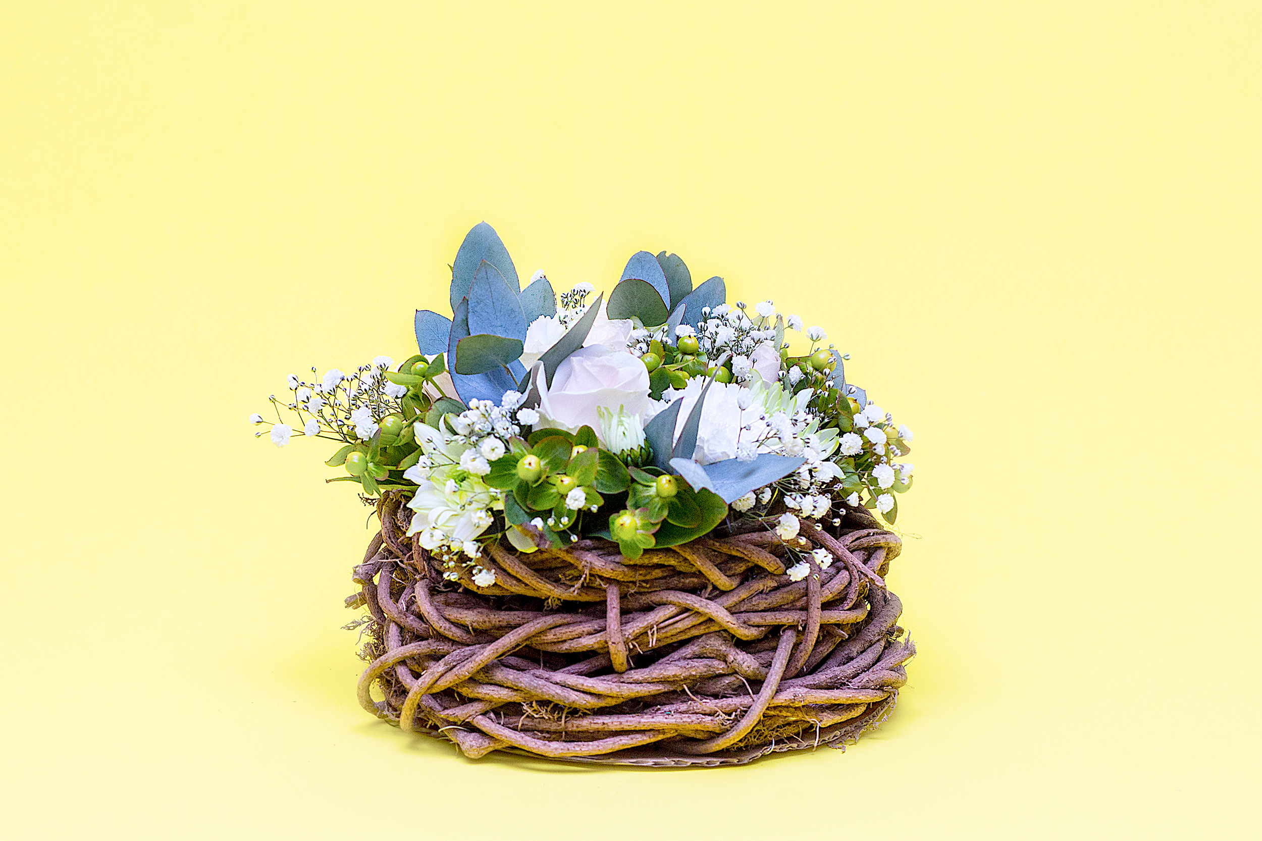 Nest