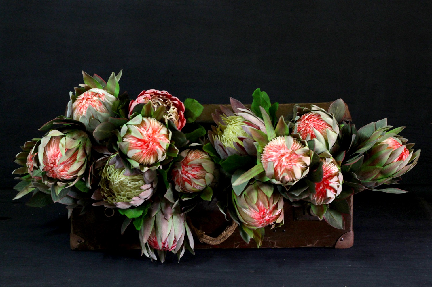 Synthetic Protea