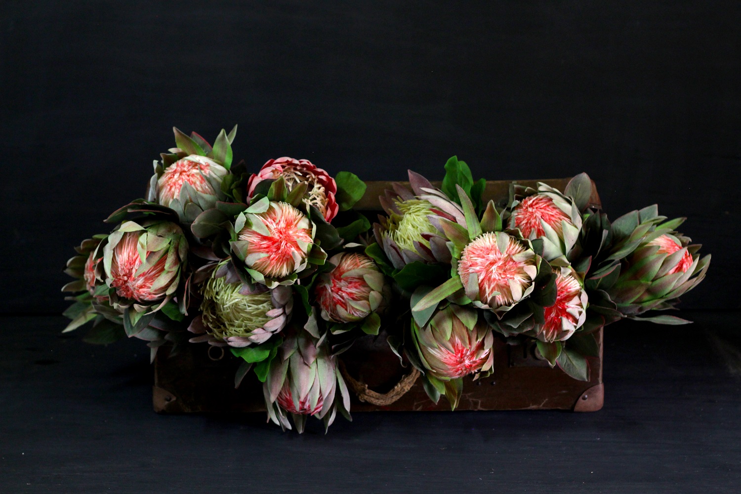 Synthetic Protea