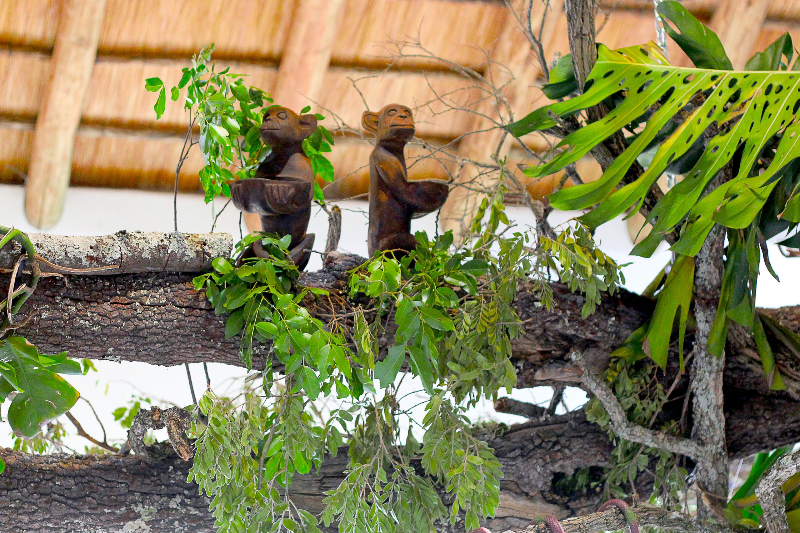 Xigera launch installation with natural props