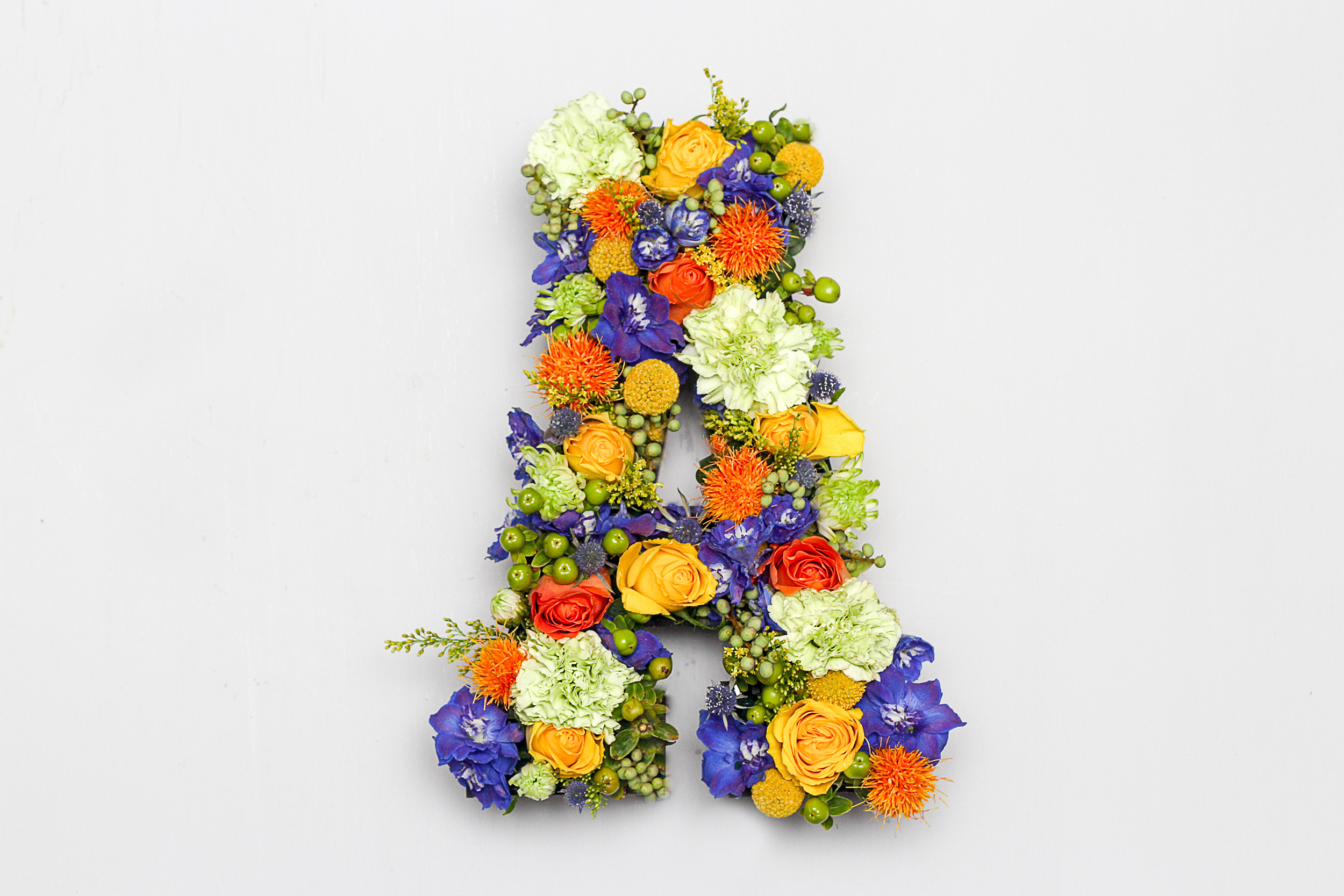 Alphabet Letters