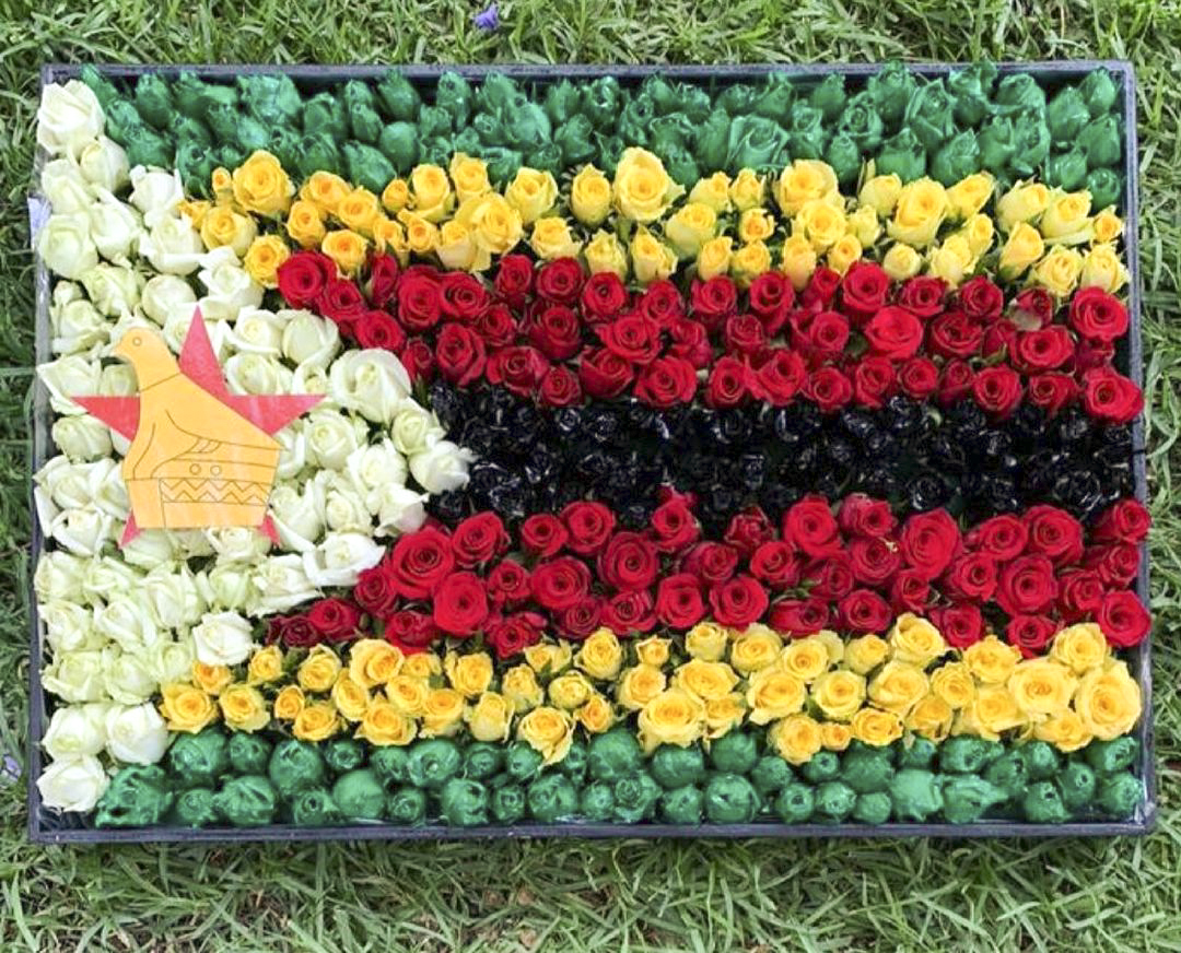 Zimbabwe flag patriotic floral art