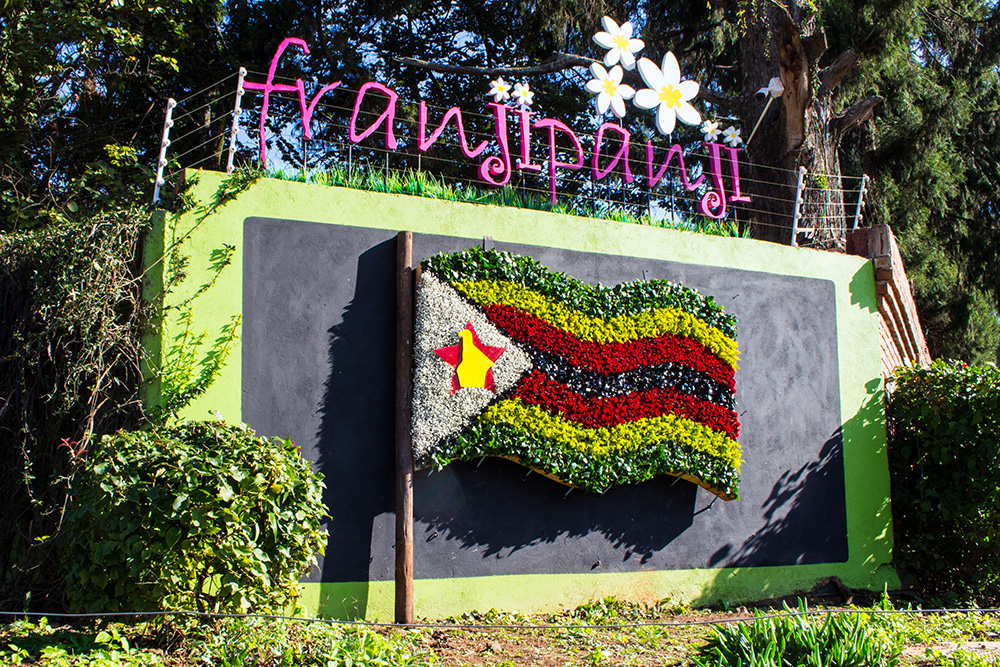 Zimbabwe flag floral artwork detail