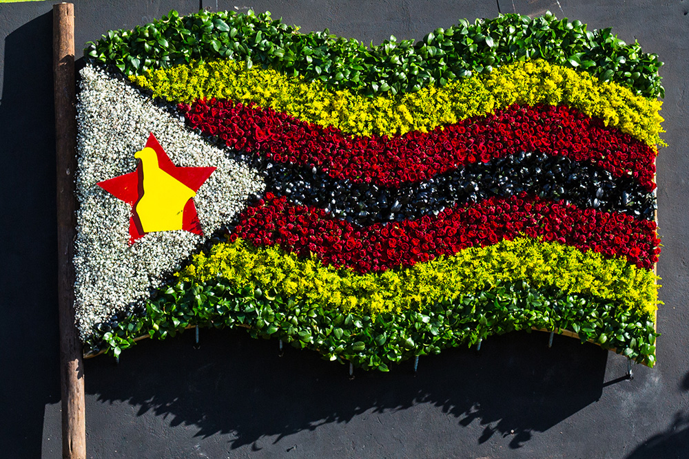 Zimbabwe flag floral artwork display