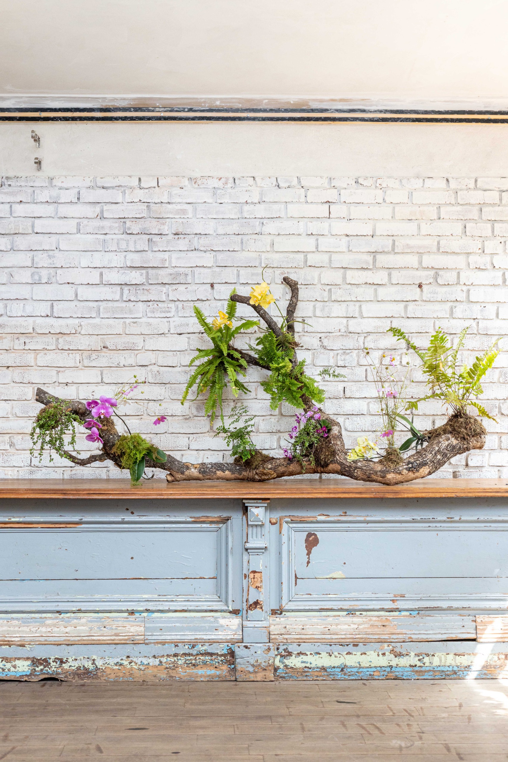 Sculptural bespoke botanical art selection