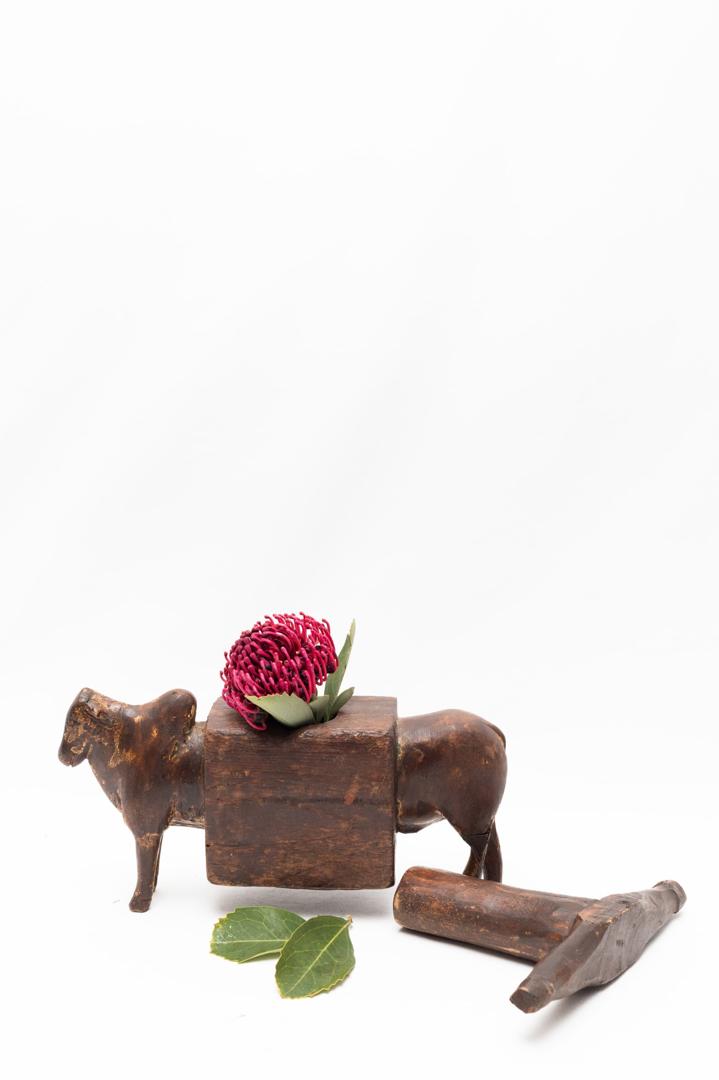 Sculptural animal planter gift set