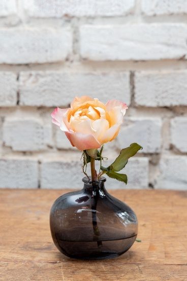 A round tinted glass bud vase holding a single peach garden rose