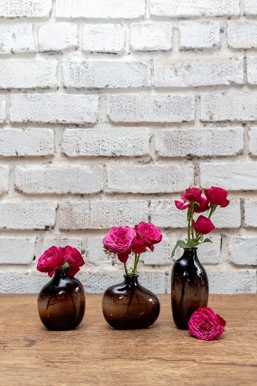 Three tinted blown-glass bud vases of different shapes holding deep pink roses