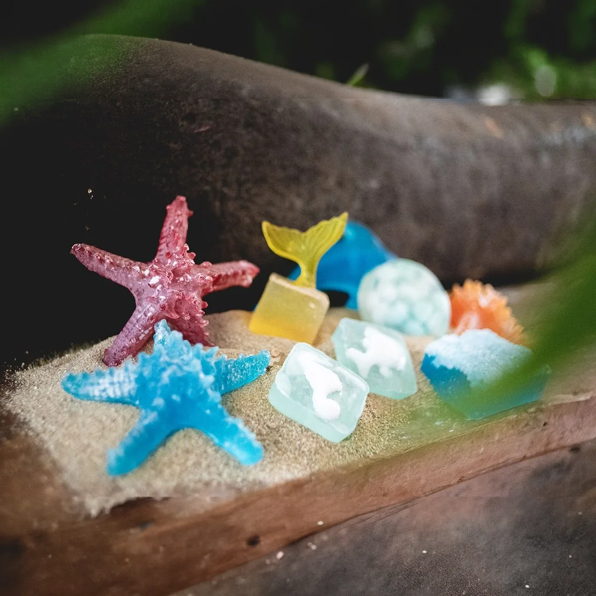 Dolphin Soap 3