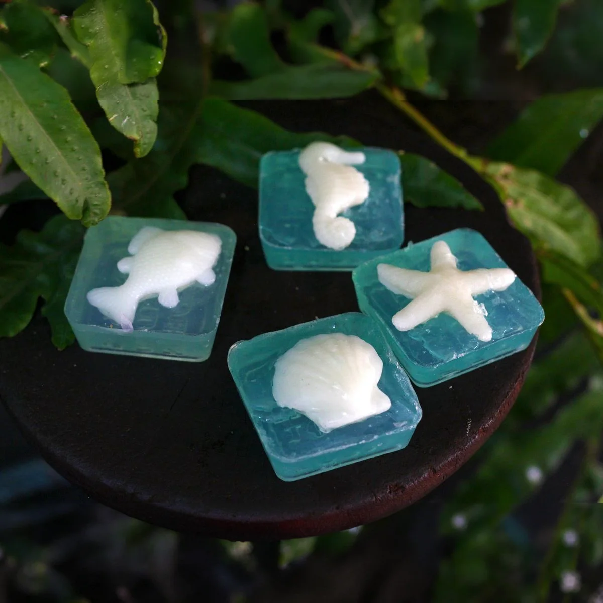 Sea Creature Soap