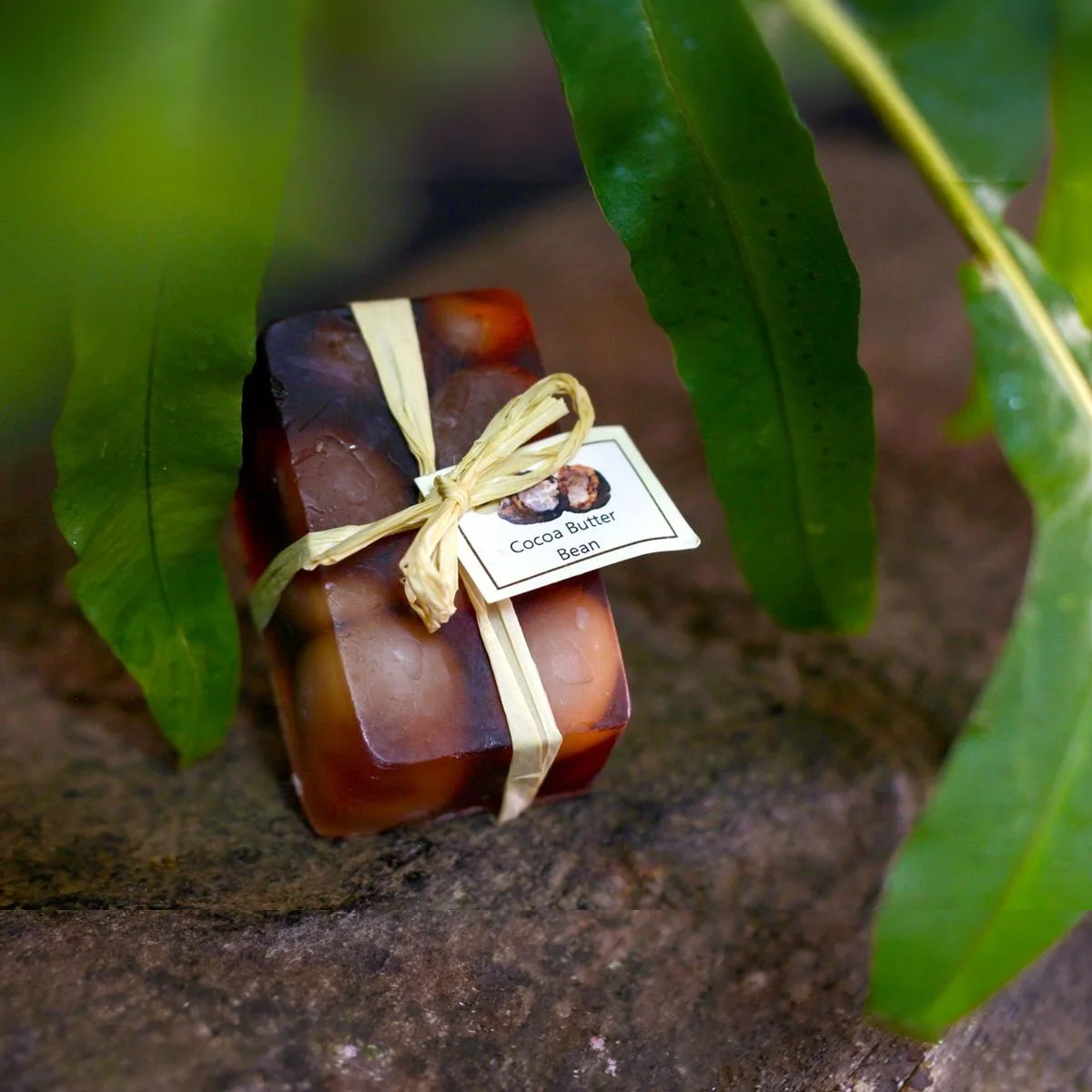 Cocoa Butter Soap 2