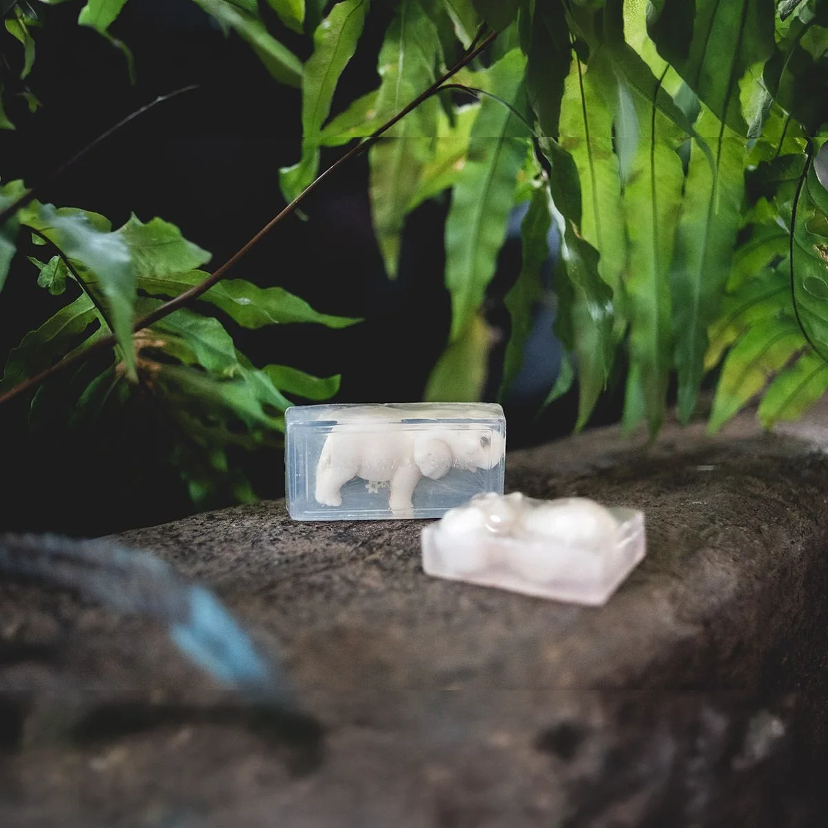 Elephant Soap 3