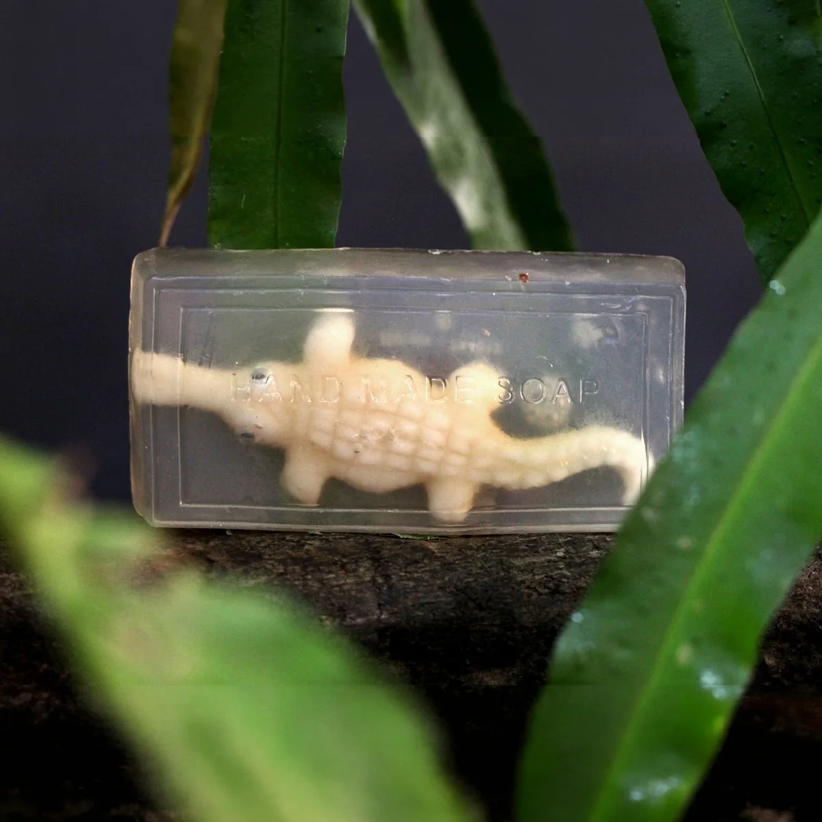 Crocodile Soap 2