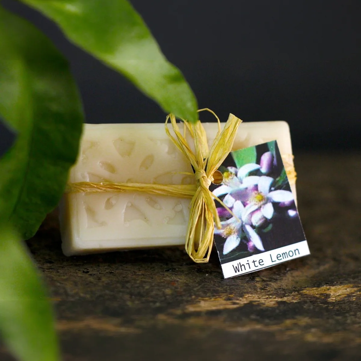 Bergamot & White Lemon Soap 2