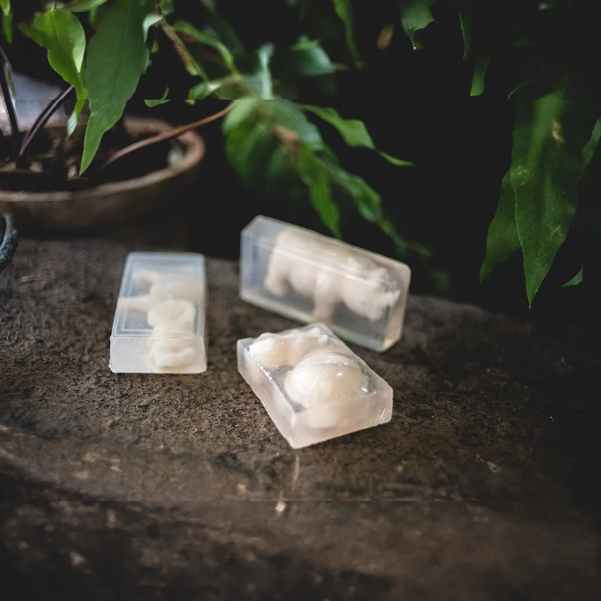 Hippo Soap 4