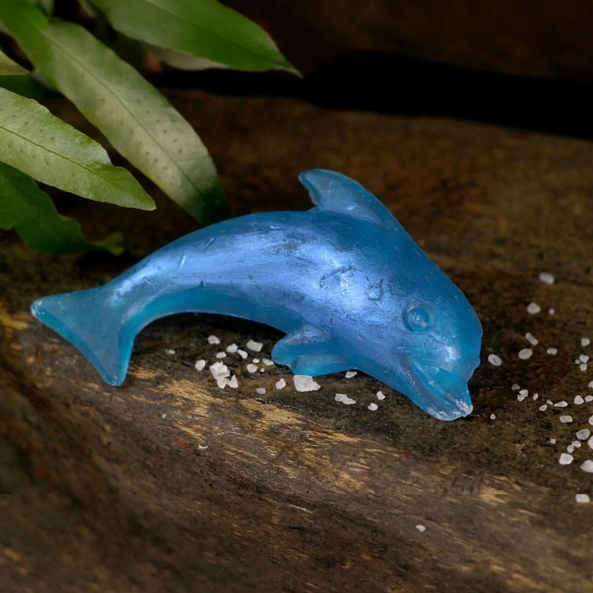 Dolphin Soap 2