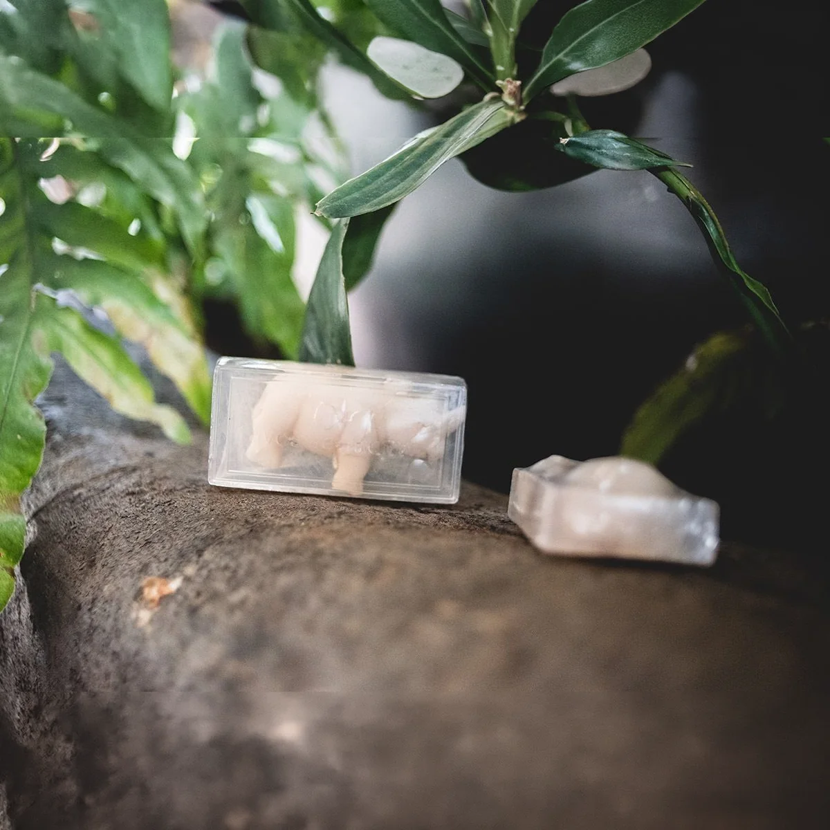 Hippo Soap 2