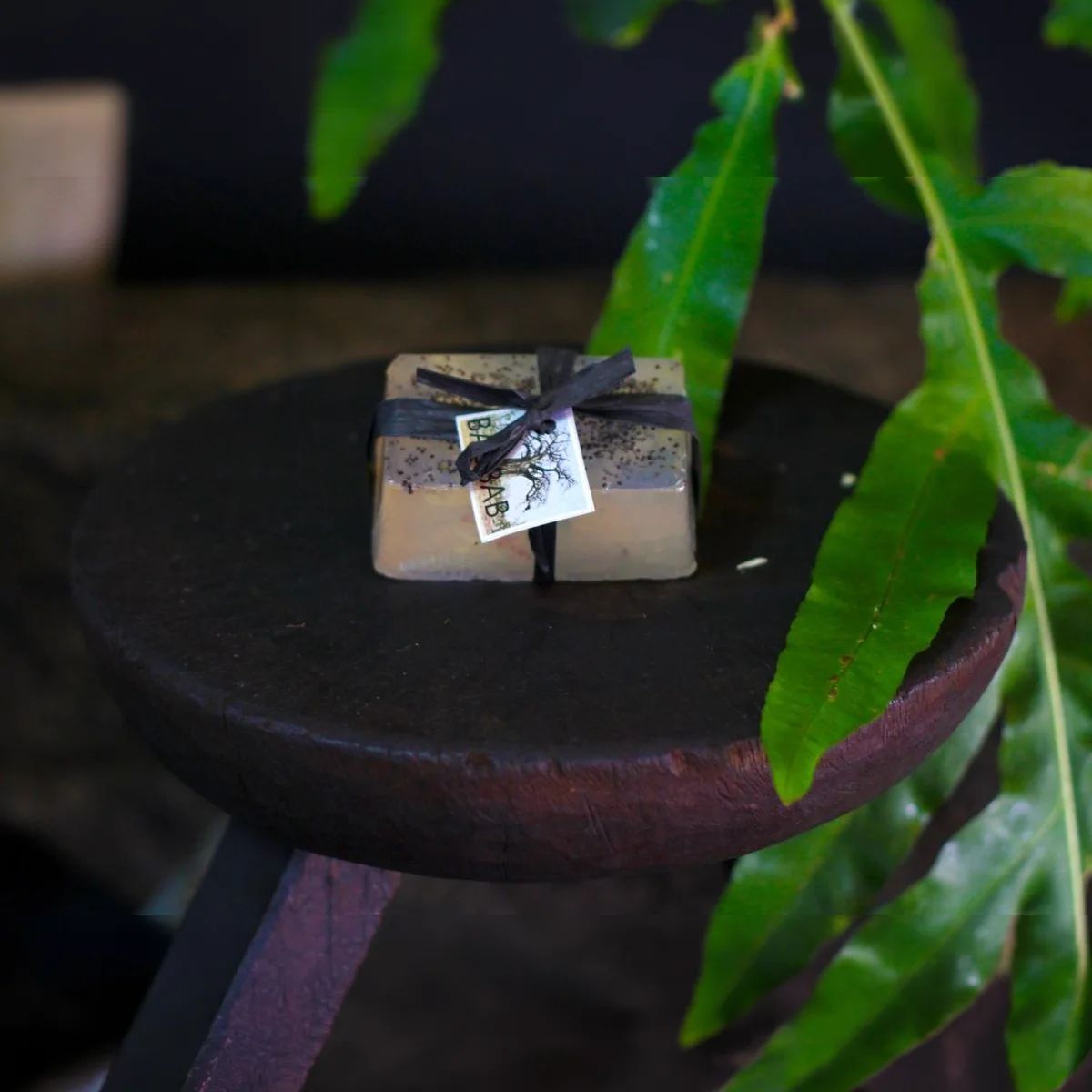 Baobab Soap 2