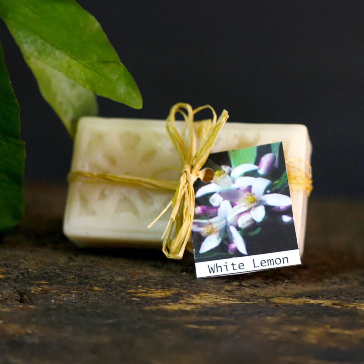 Bergamot & White Lemon Soap