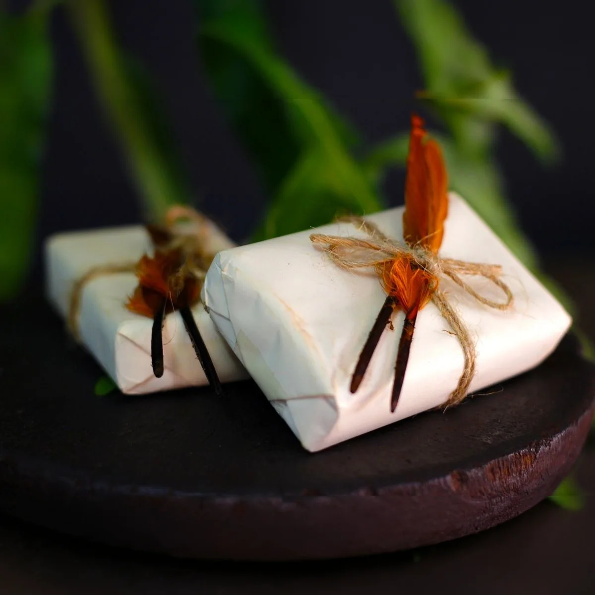 Feather Soap