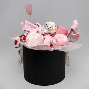 Baby Hamper Exclusive